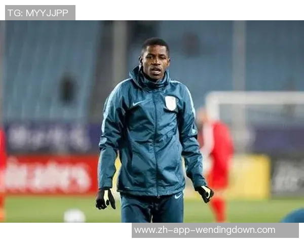 pg网赌软件下载问鼎-揭秘PG网赌软件，下载与问鼎的挑战与风险-pg网赌软件下载问鼎